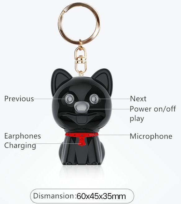 dpg keychain awdjo recorder