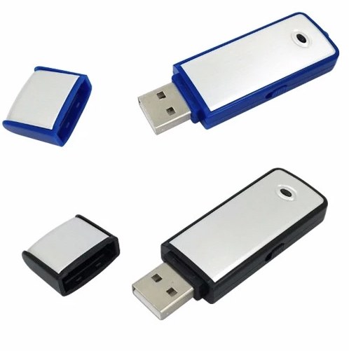 reġistratur tal-awdjo f'diska flash USB