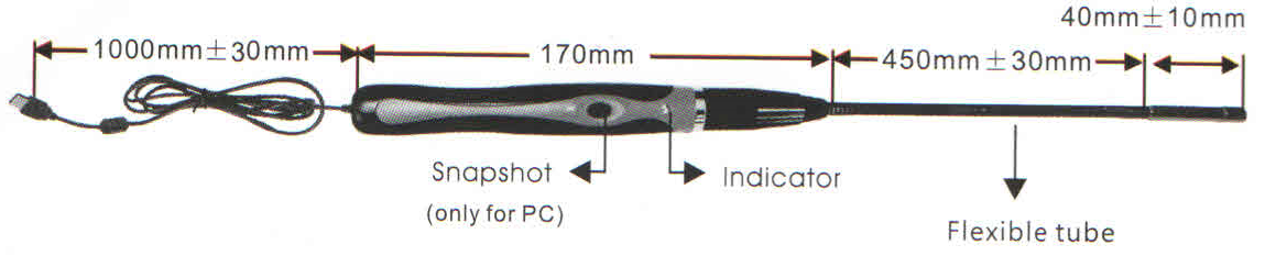 dimensjonijiet