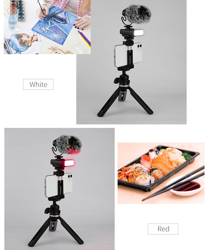 tripod għall-mowbajl (selfie holder) + mikrofonu u dawl